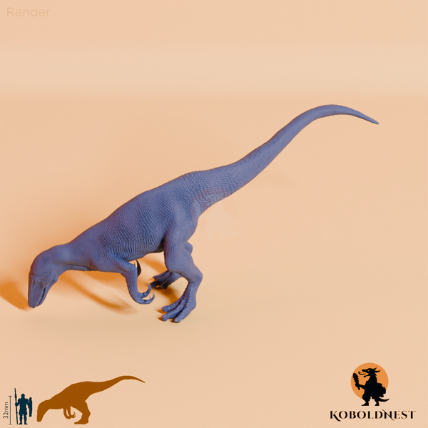 Aerosteron riocoloradensis 06 - JJP