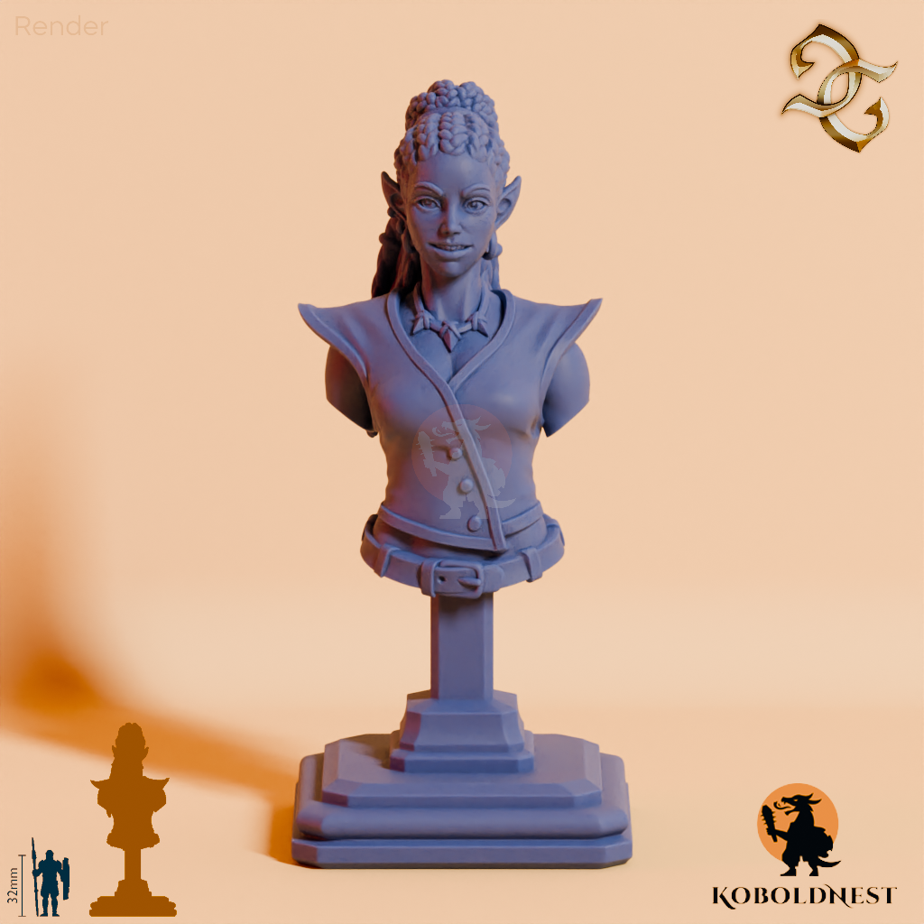 Aira-Dragon-Tamer-Bust_RenderOnly_Unbased_render_80pitch_0deg.png