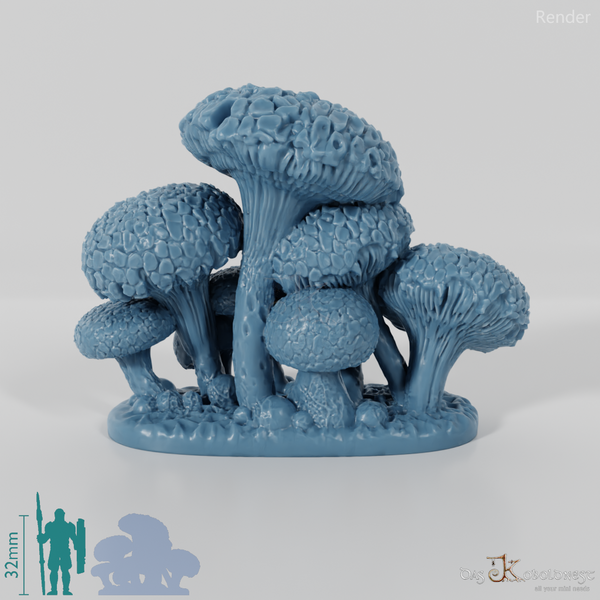 Die Pilzwälder - Niedrige Riesenwulstlinge