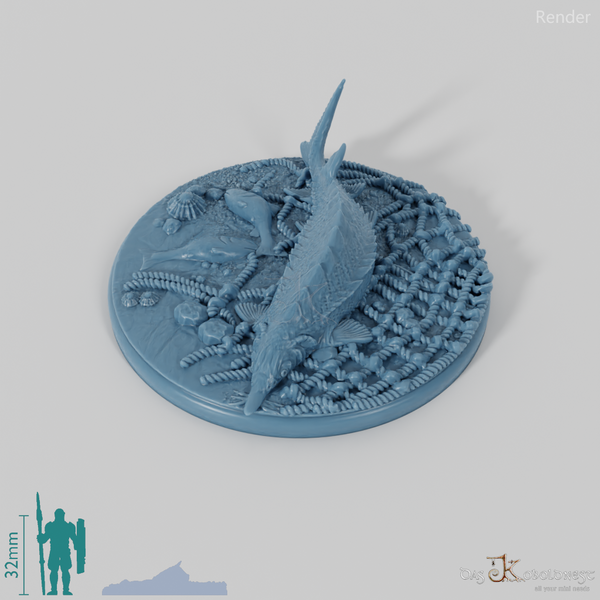 Große Treibholzbases (Rund)