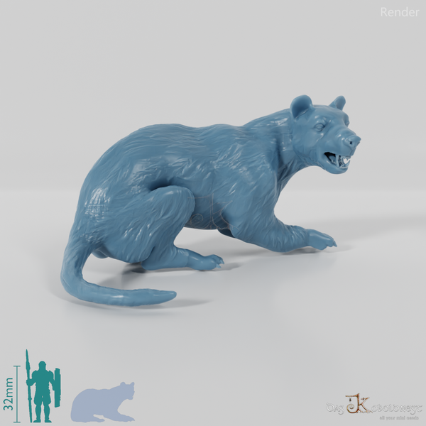 Amphicyon ingens 05 - JJP