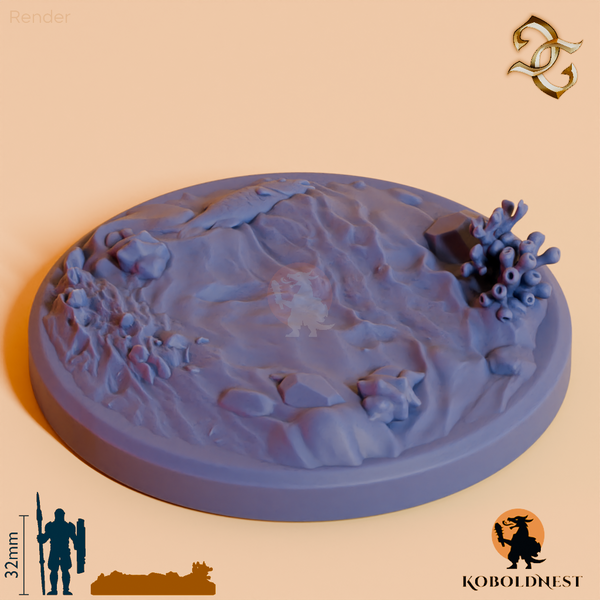Base_Beach_Round_50mm_render_55pitch_180deg.png