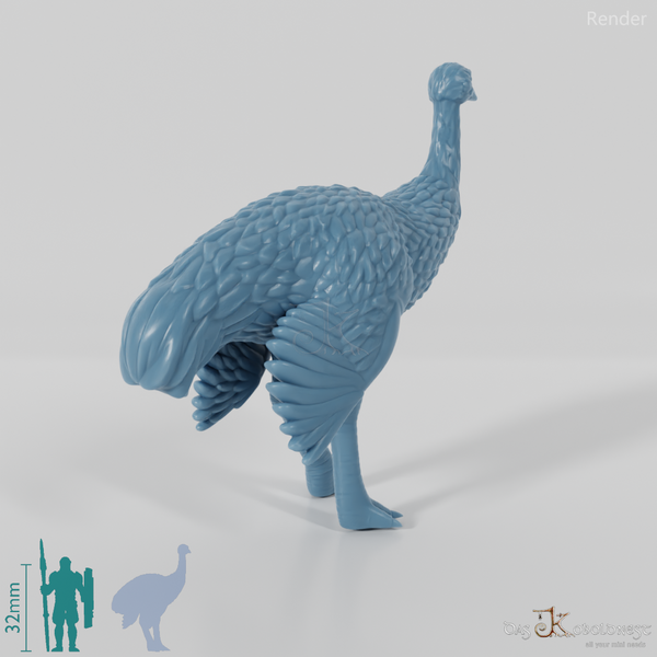 Laufvogel - Strauß 02