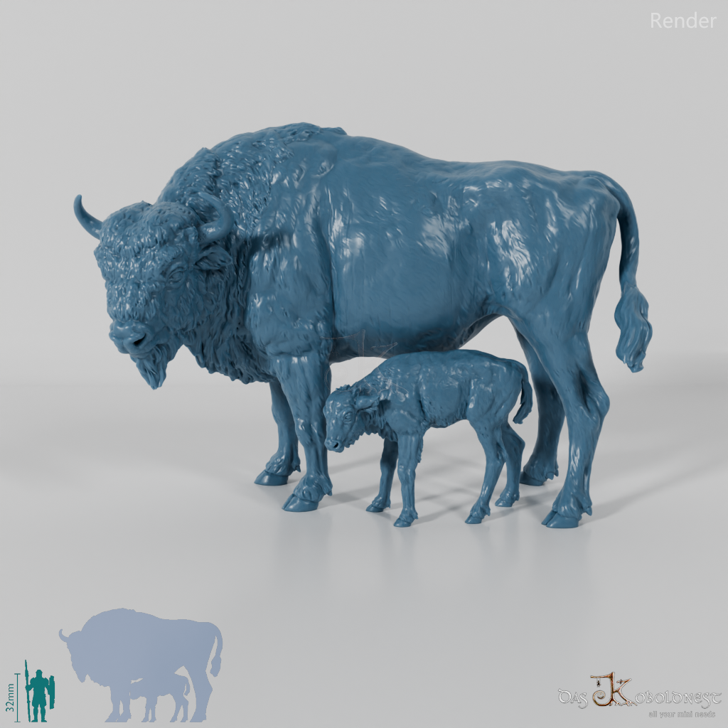 Bison - Europäische Bisons - Kuh und Kalb