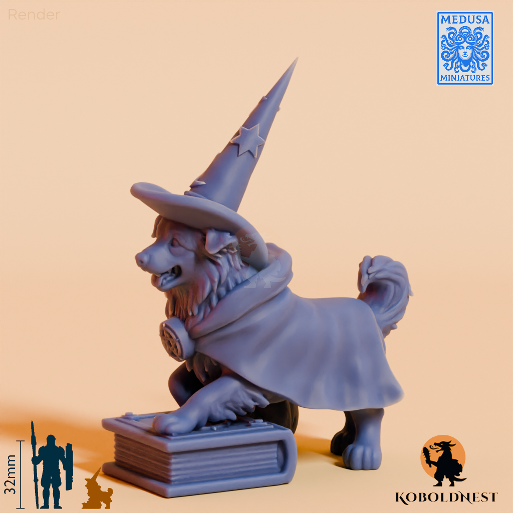 Border-Collie-Mage_render_80pitch_300deg.png