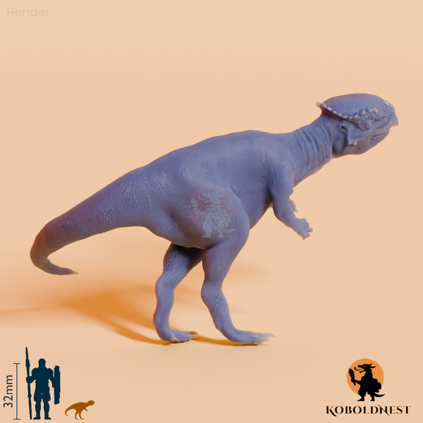 Chaoyangsaurus youngi 01