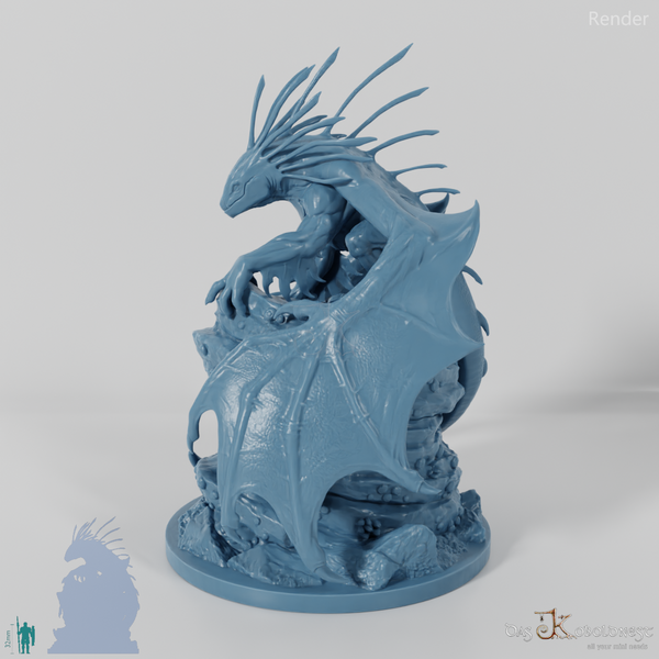 Küsten-Stachelrücken