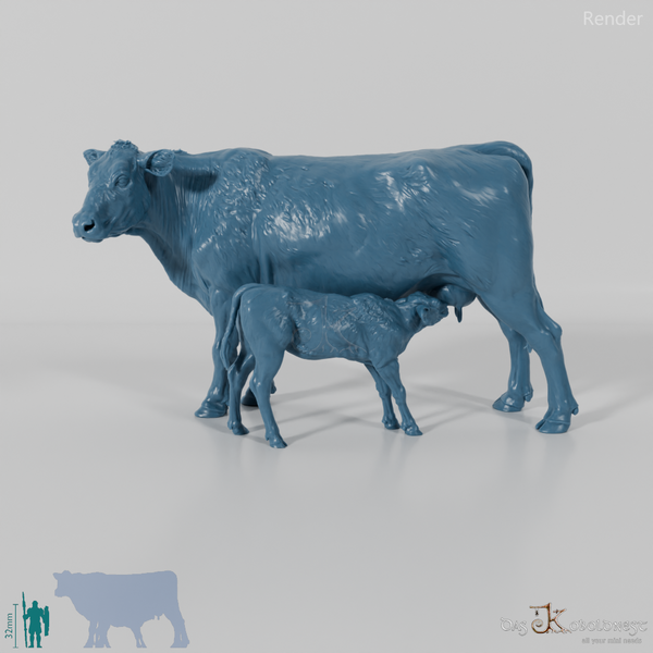 Rind - North Devon Kuh mit Kalb - Säugend