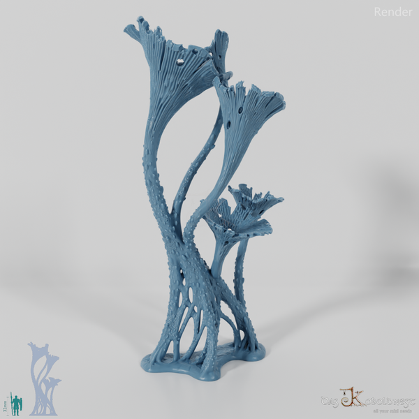 Die Pilzwälder - Hohe Riesentrompeten