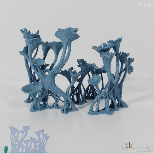 Die Pilzwälder - Komplettset