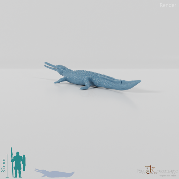 Krokodil - Gavial 01