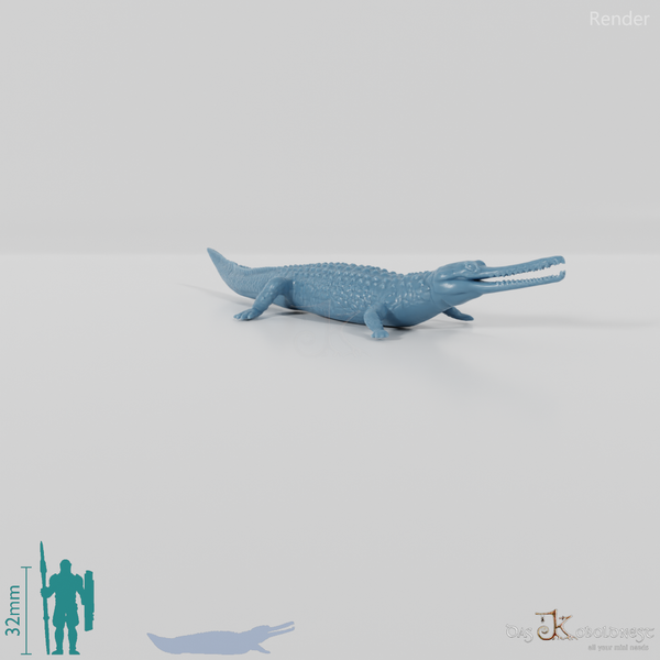 Krokodil - Gavial 01
