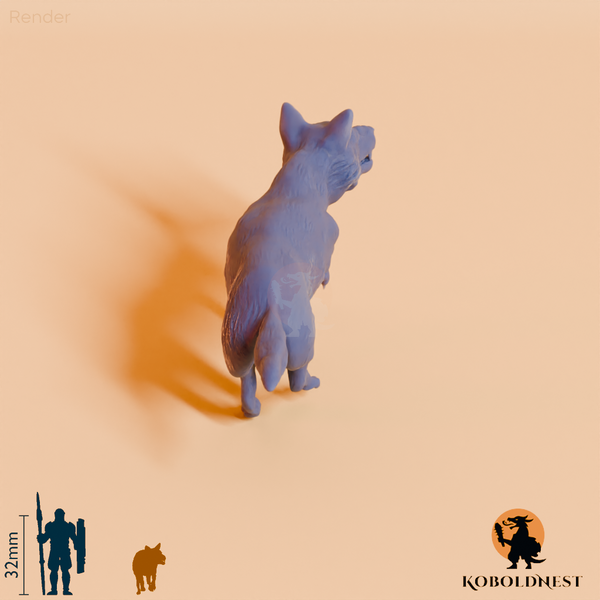 DIREWOLF5Free_render_60pitch_180deg.png