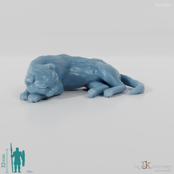 Katze - Deimos, schlafende Katze