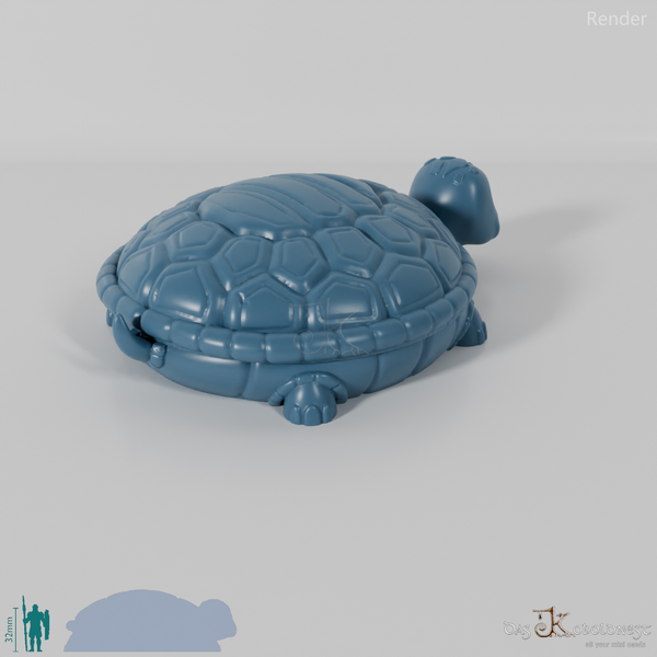 Würfelbox - Schildkröte