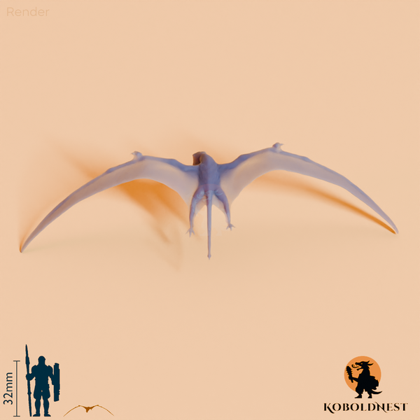 Dimorphodon macronyx 02