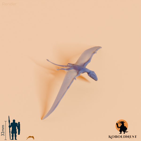 Dimorphodon macronyx 02