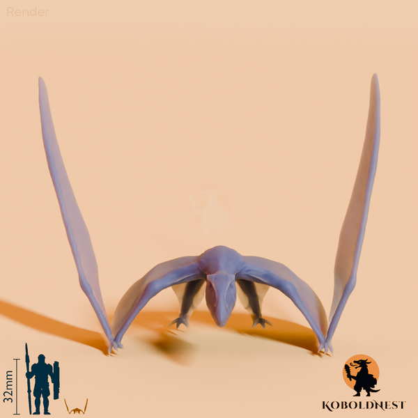 Dimorphodon macronyx 03