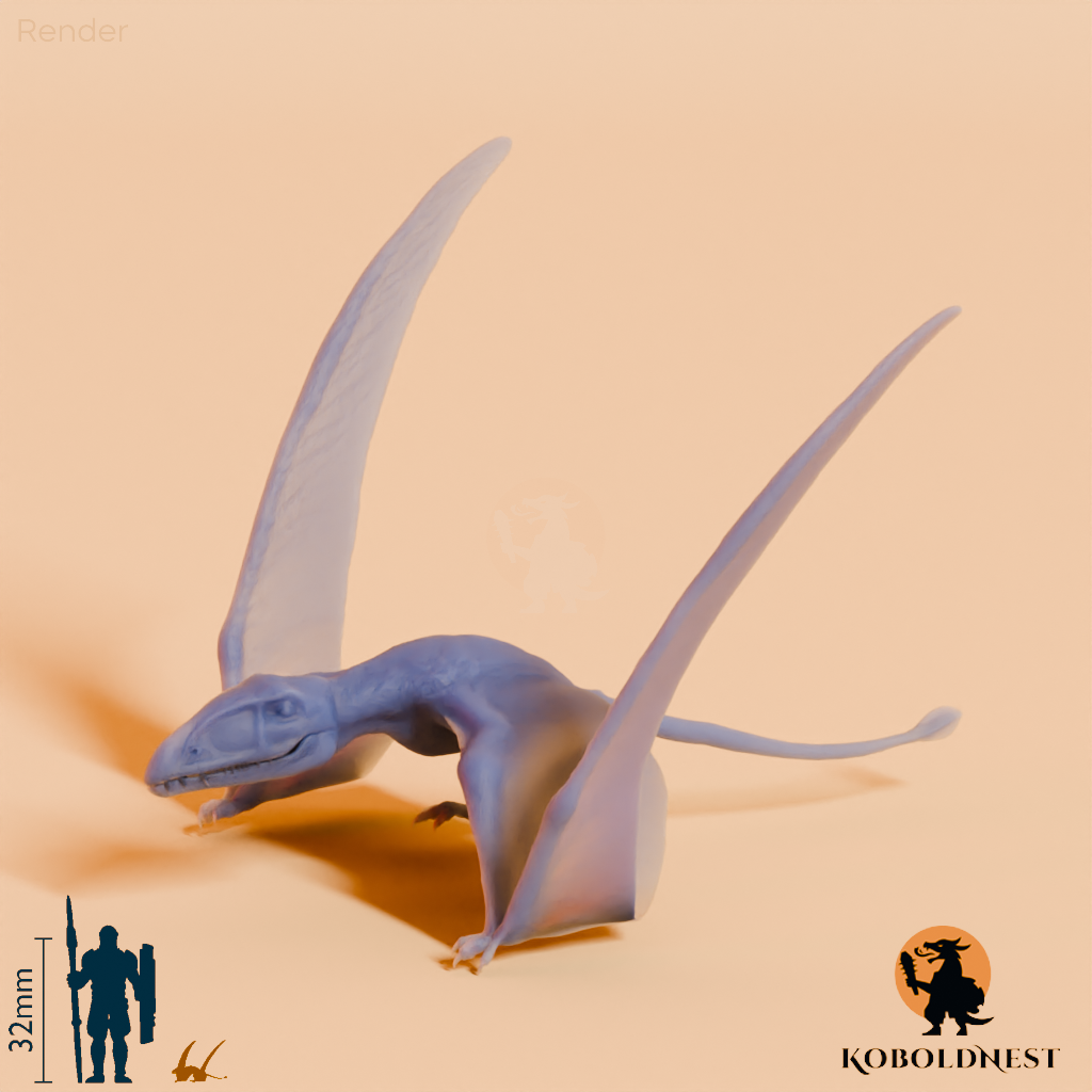 Dimorphodon macronyx 03