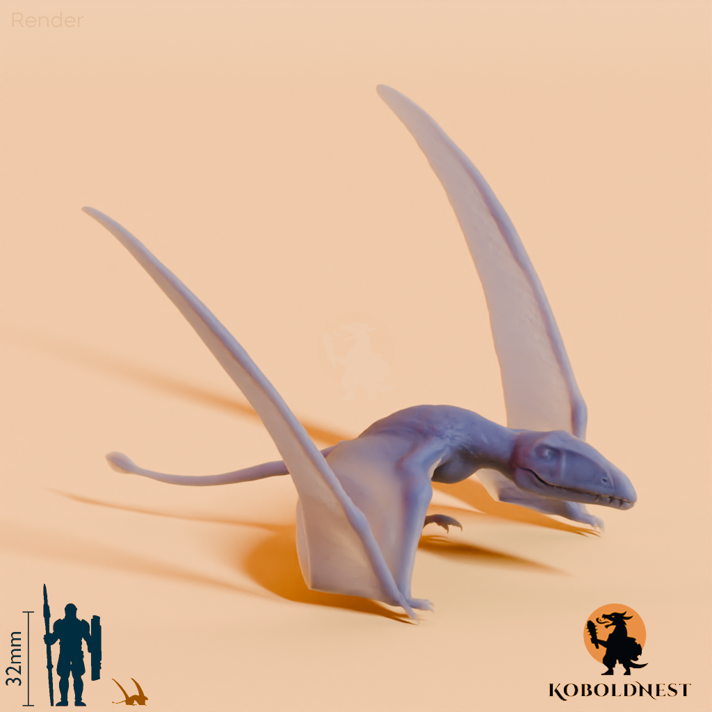 Dimorphodon macronyx 03