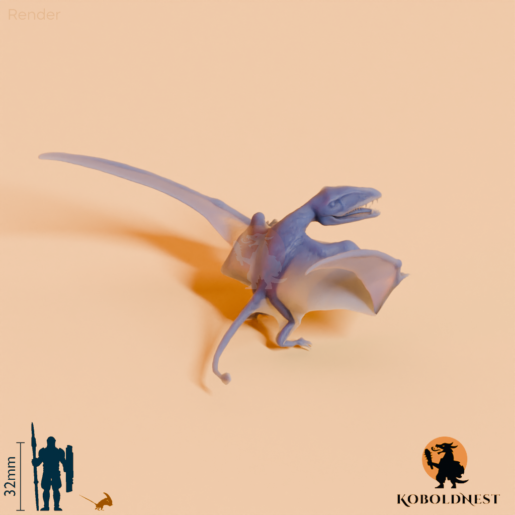 Dimorphodon macronyx 05