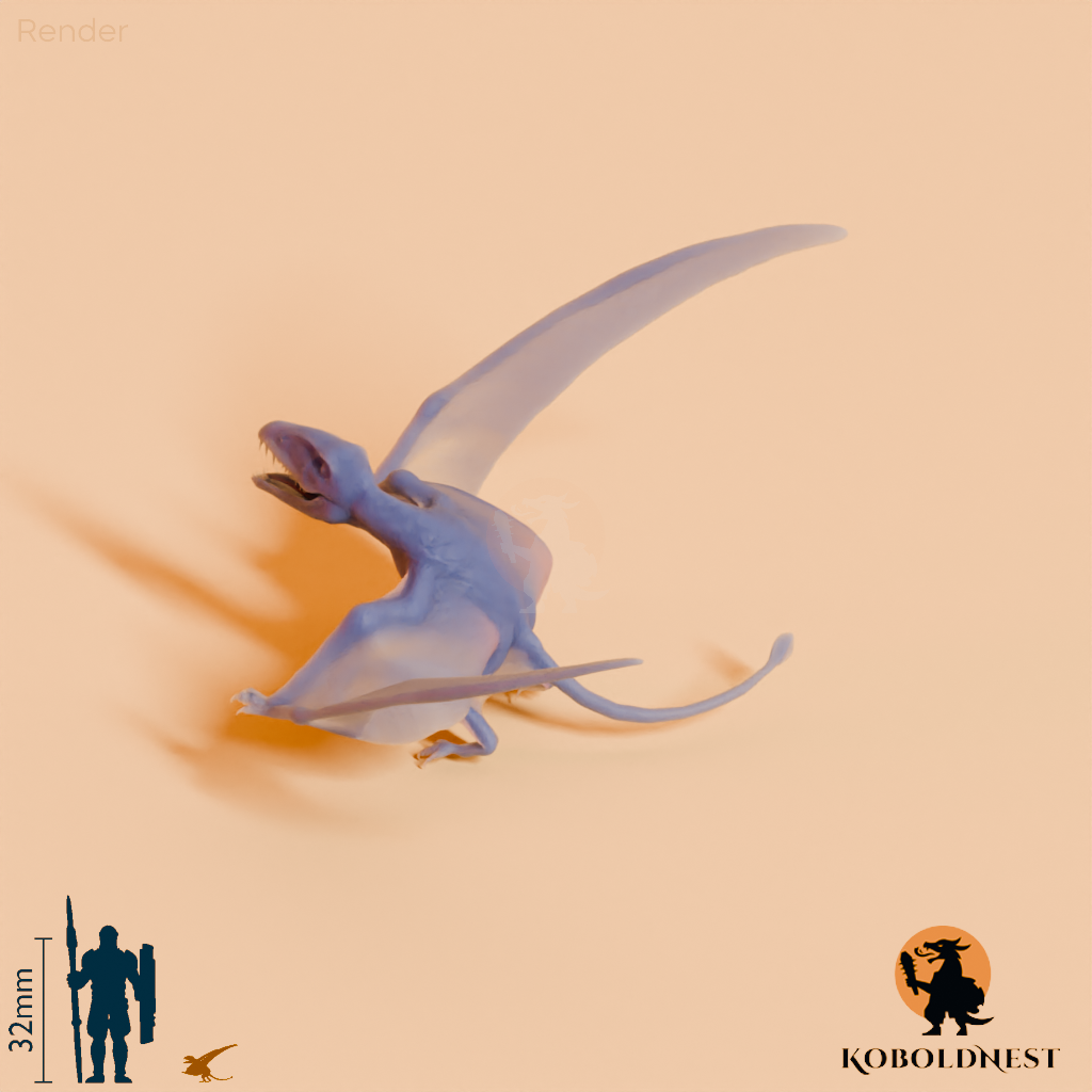 Dimorphodon macronyx 05