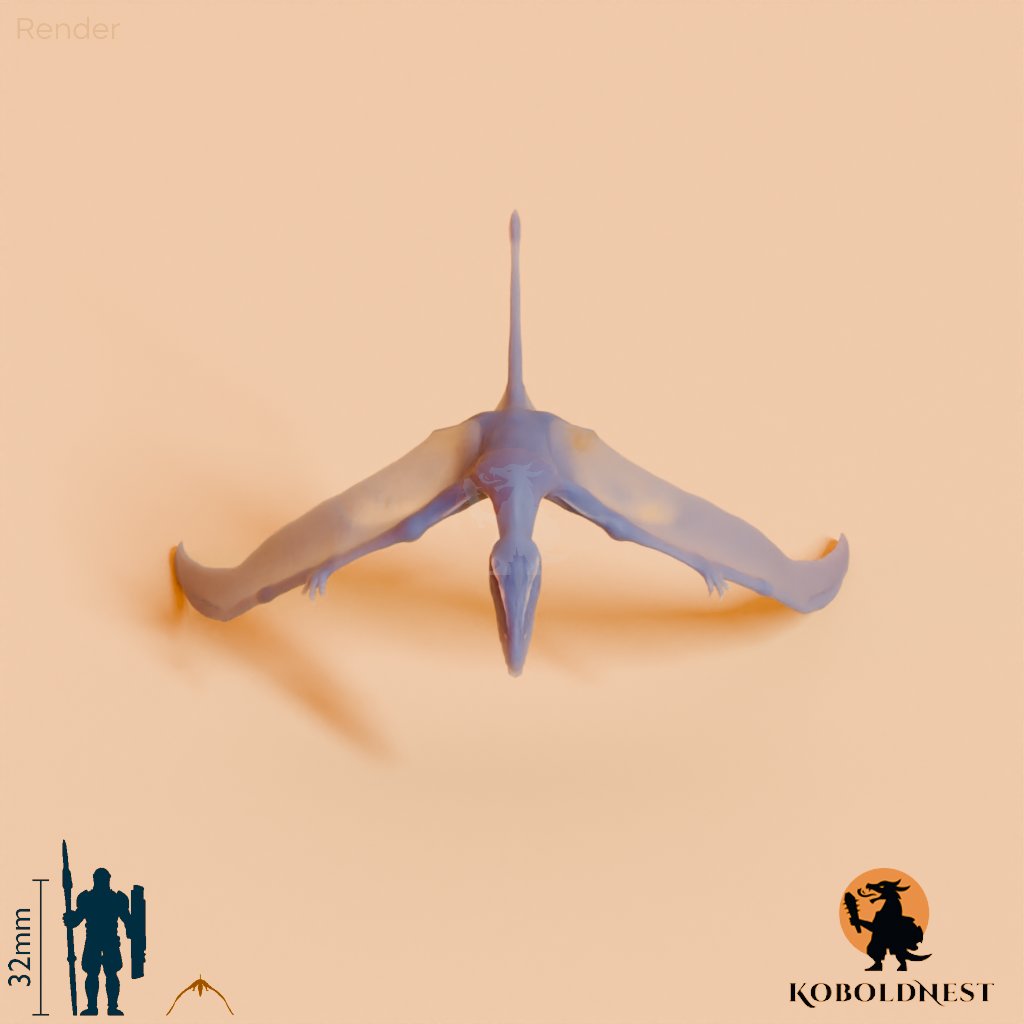 Dimorphodon macronyx 06