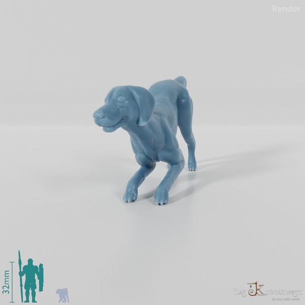 Hund - Dalmatiner 01