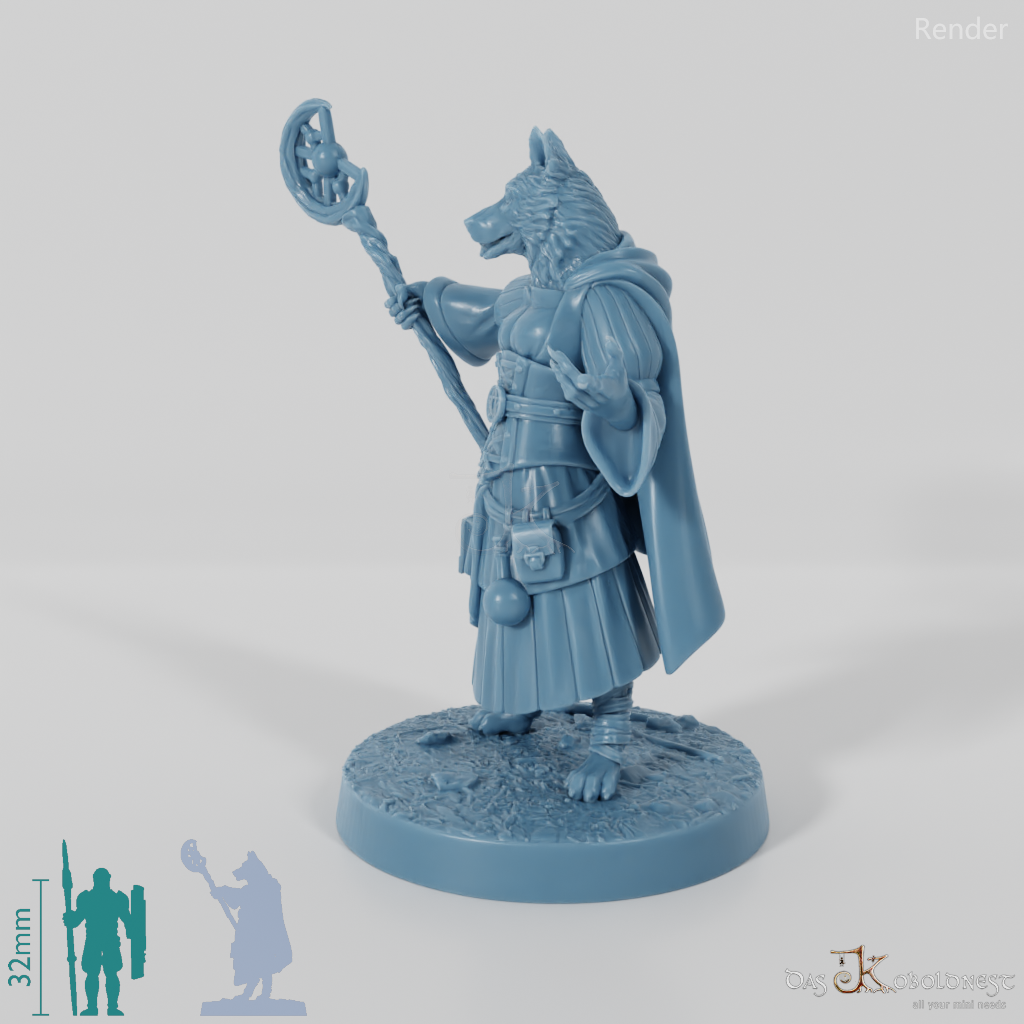 Hundevolk-Magierin - Border Collie