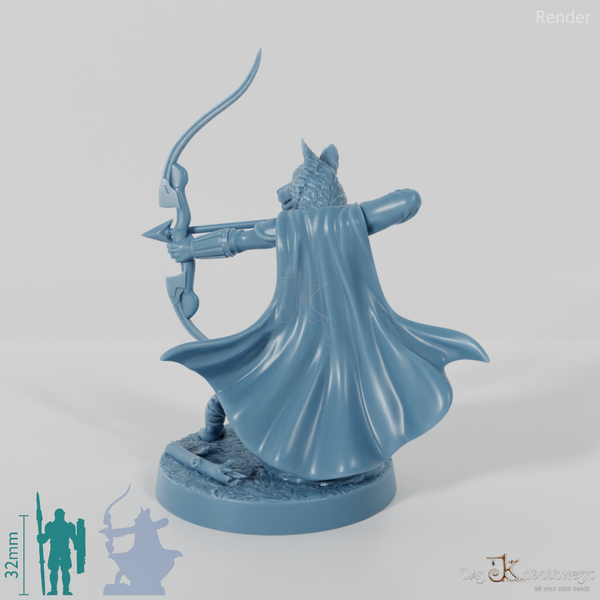 Hundevolk-Waldläufer - Border Collie