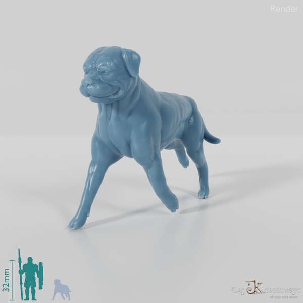 Hund - Rottweiler 02