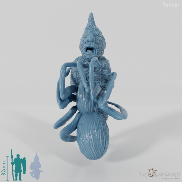 Eingesponnener Zwerg mit Riesenspinne