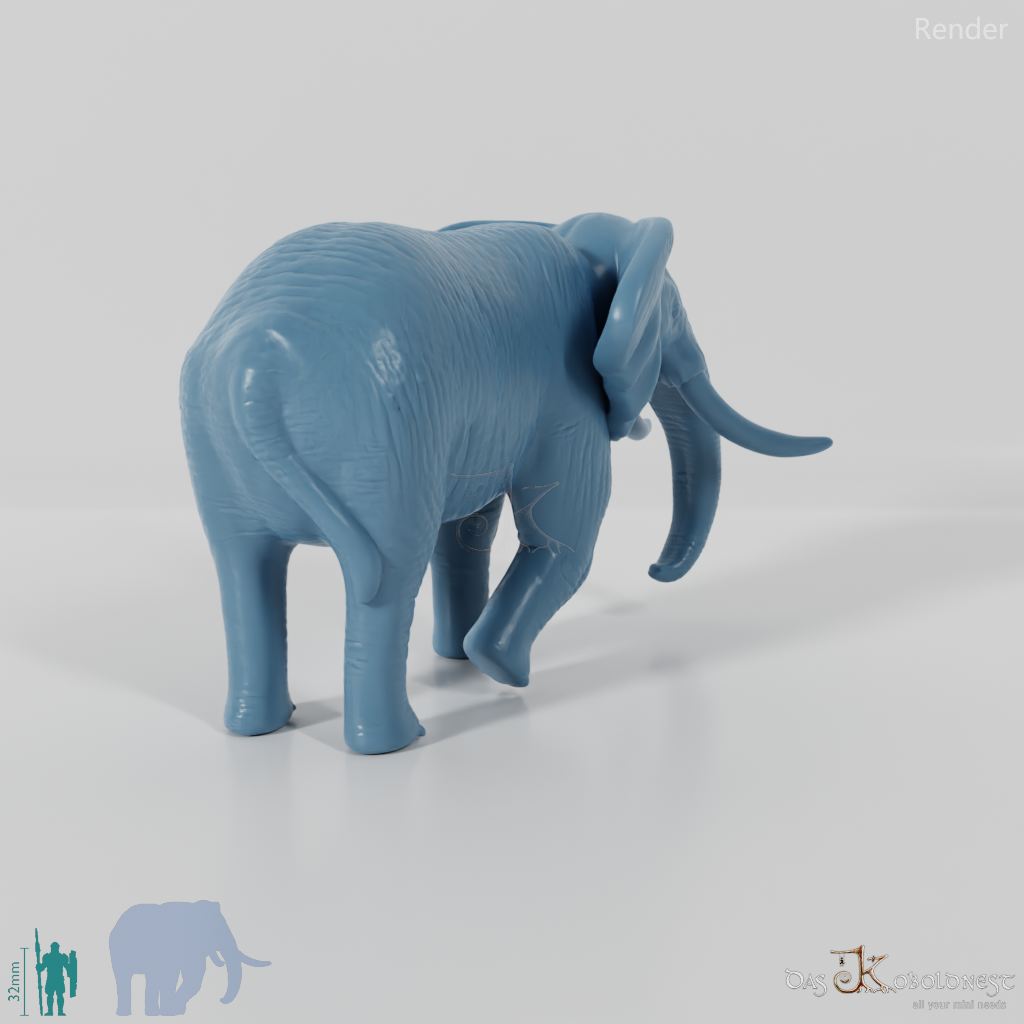 Elefant - Afrikanischer Elefant 02