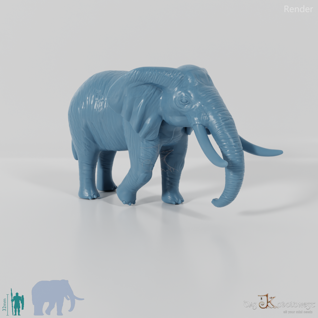 Elefant - Afrikanischer Elefant 02