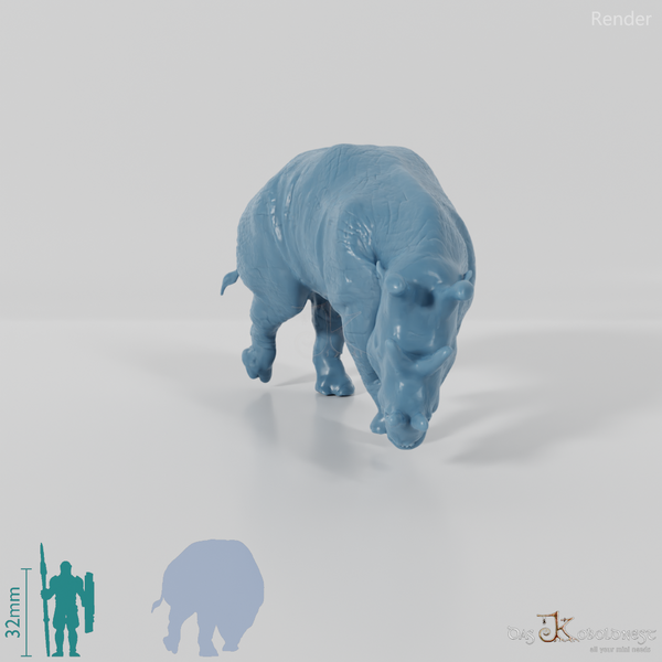 Eobasileus cornutus 05 - JJP