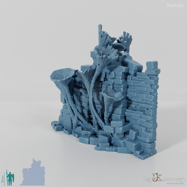 Pilzüberwucherte Ruine D