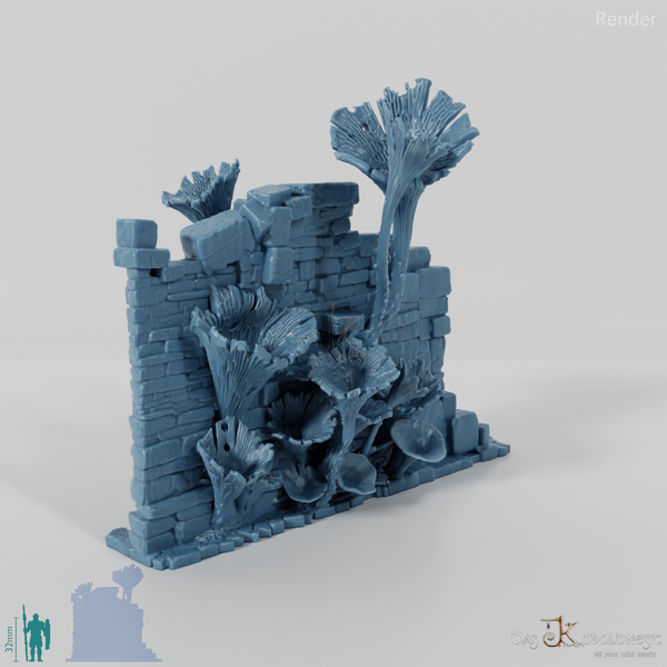 Pilzüberwucherte Ruine D