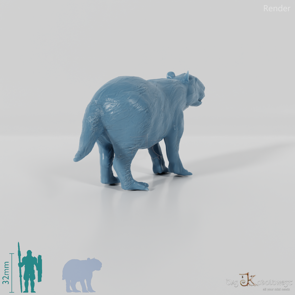 Josephoartigasia monesi 06 - JJP