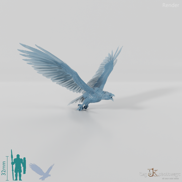 Hieraaetus morei 02 - JJP