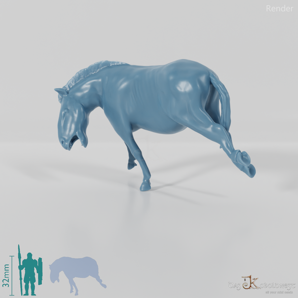 Hippidion principale 05 - JJP