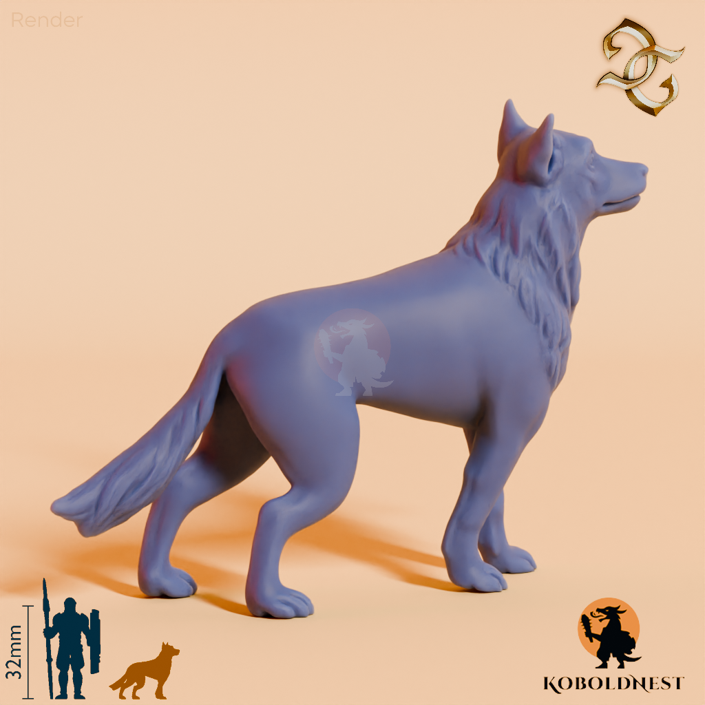 Hund des Eremiten 02