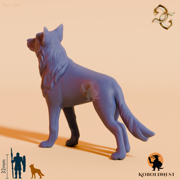 Hund des Eremiten 02