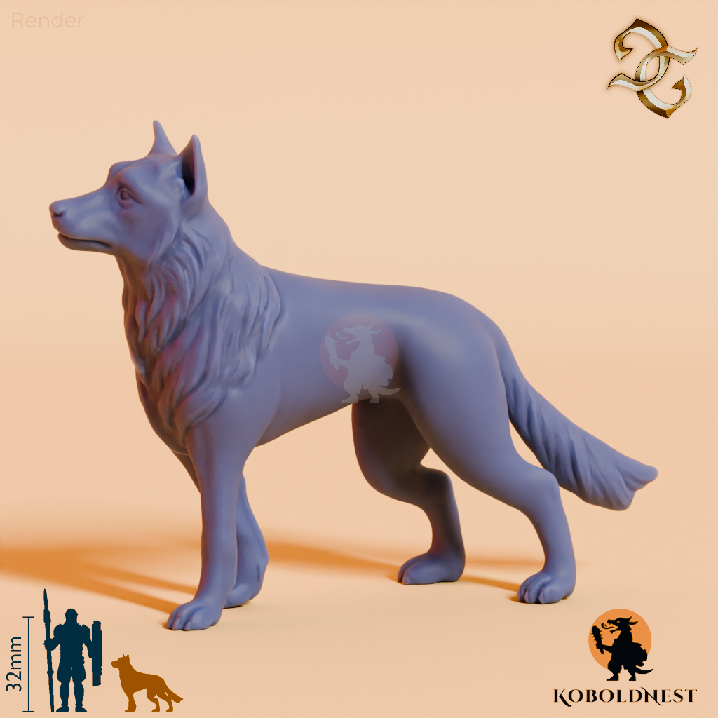 Hund des Eremiten 02