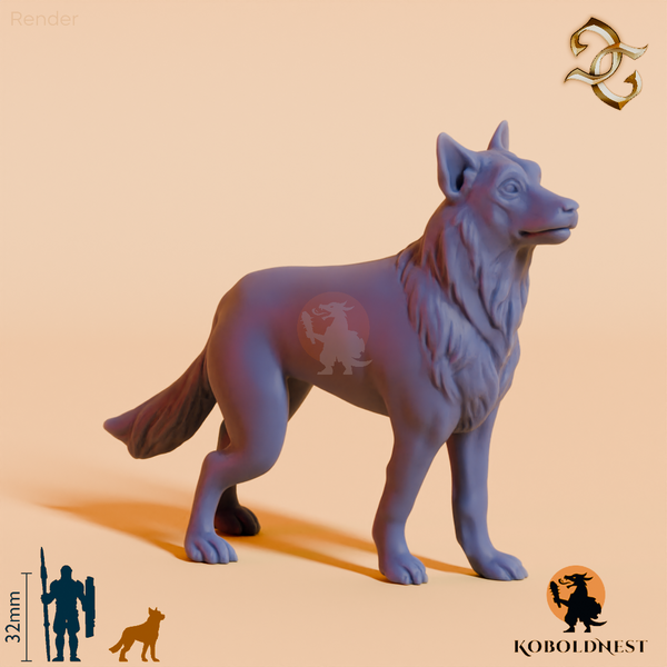 Hund des Eremiten 02