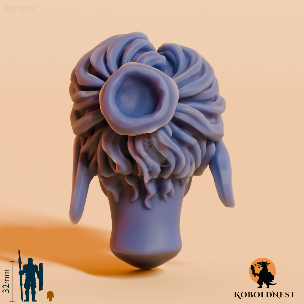 Frauenkopf - 53