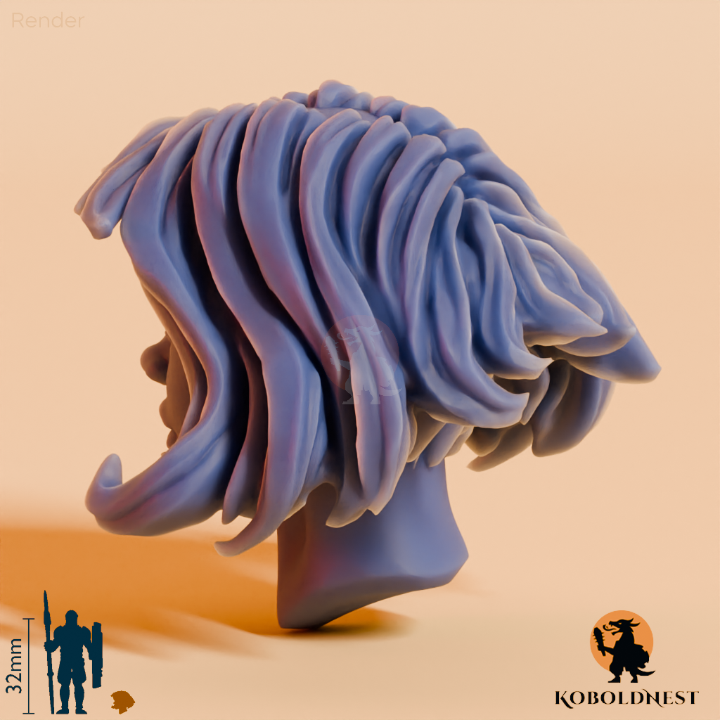 Frauenkopf - 69