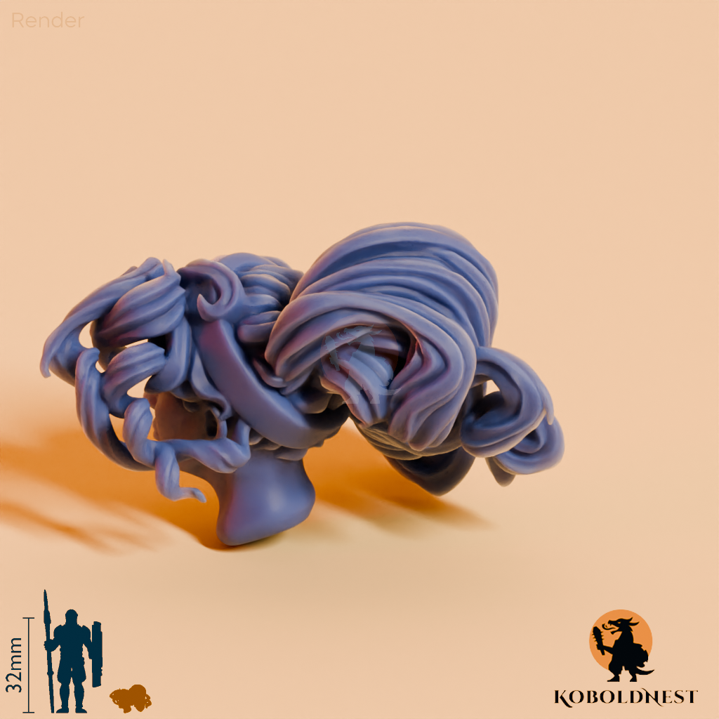 Frauenkopf - 77