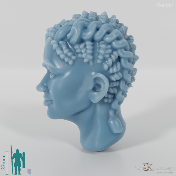 Frauenkopf - Asymmetrisch Geflochten