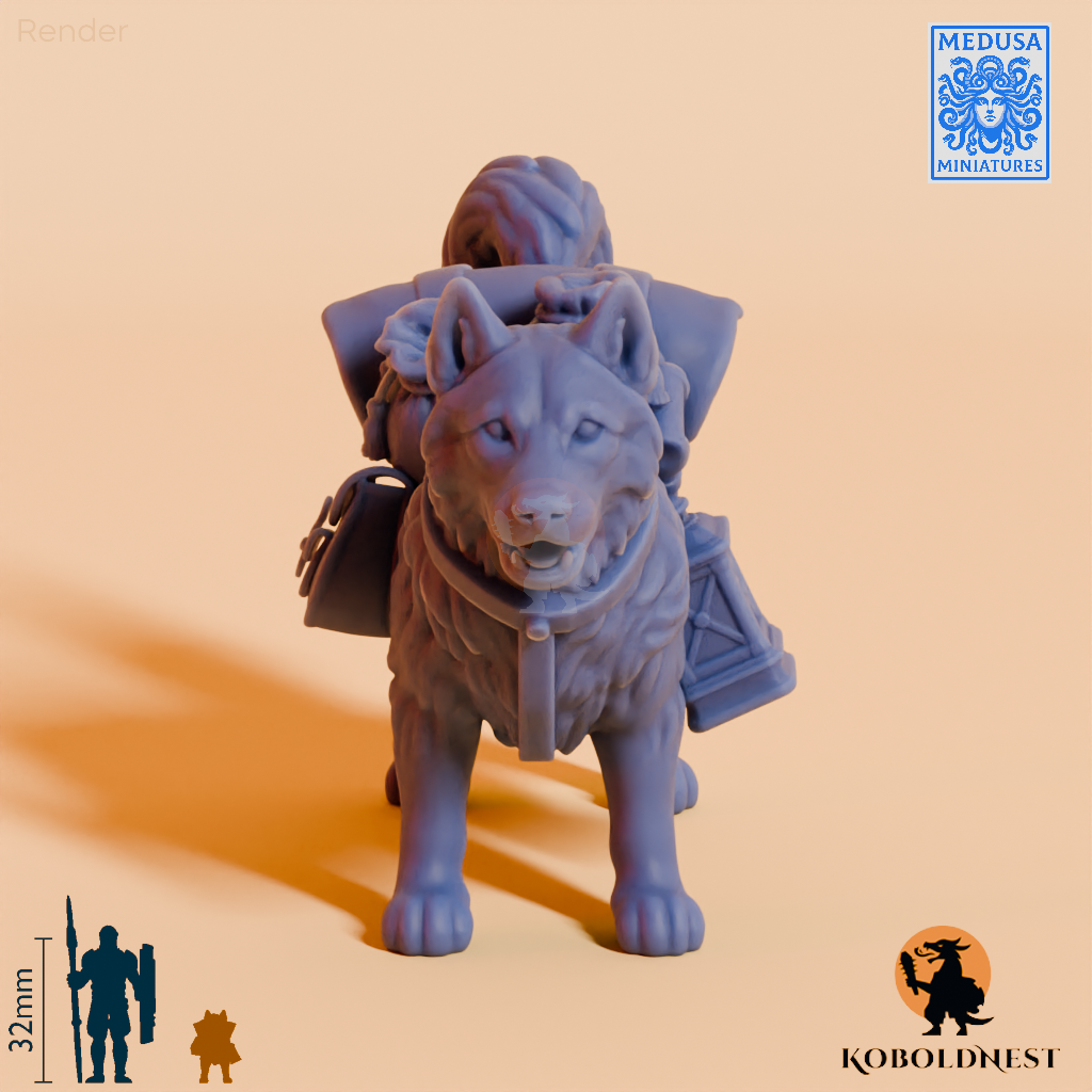 Husky-Adventurer_render_75pitch_0deg.png