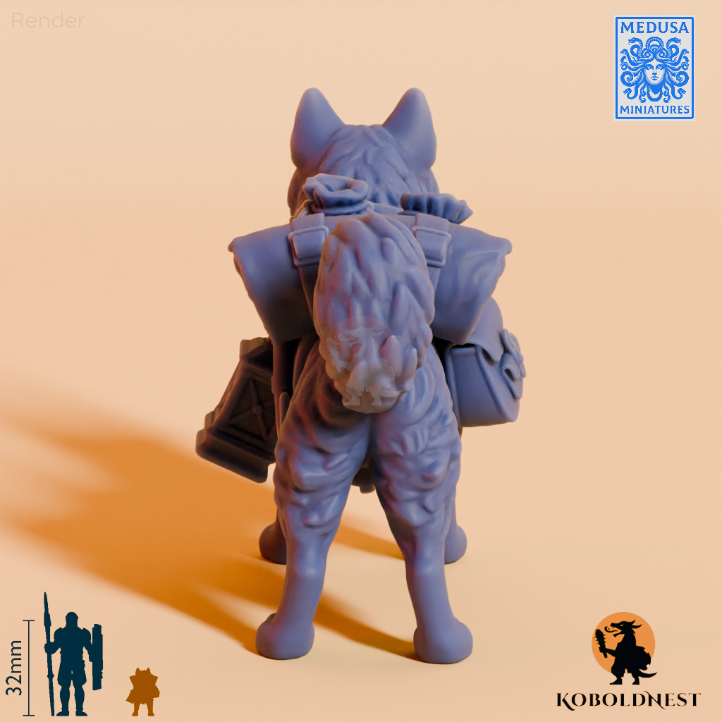 Husky-Adventurer_render_75pitch_180deg.png